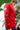 Pull marin mixte "Elouan" rouge