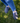Paire de chaussons charentaises mixte "Kerema" bouclette anthracite liseré bleu royal